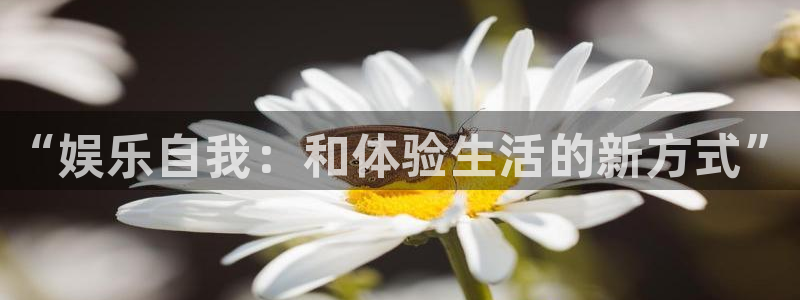 upload/20250701114914.jpg